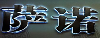 陕西杨凌德国萨诺现代动物营养有限公司LED发光字背发光字制作安装
