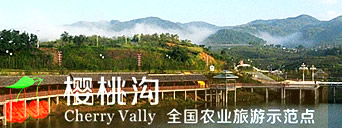 西乡樱桃沟3A旅游景区标识牌制作景点说明牌制作,陕西汉中